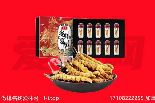 玉树州回收虫草.jpg